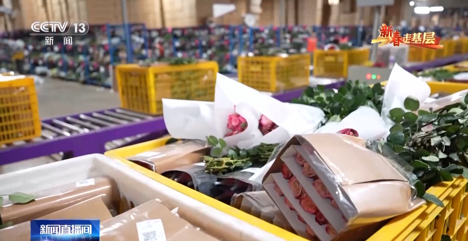 新春走基层丨千里花香递温情 特别的爱给特别的你 新春走基层丨千里花香递温情 特别的爱给特别的你