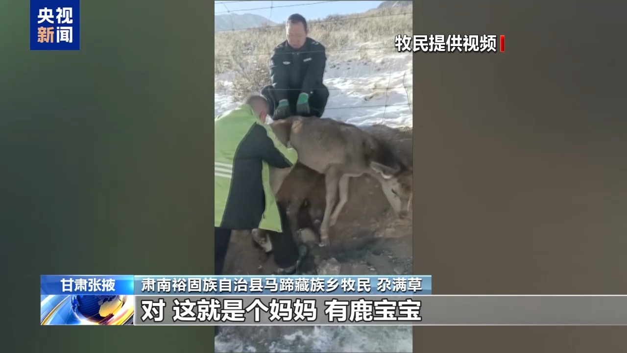 新春走基层丨下山借牧还交上了朋友 这趟“冬牧”值了