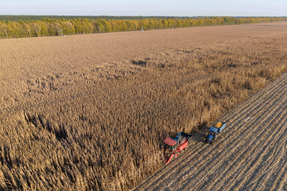 影像回眸“十四五”——全面深化改革 扩大高水平开放