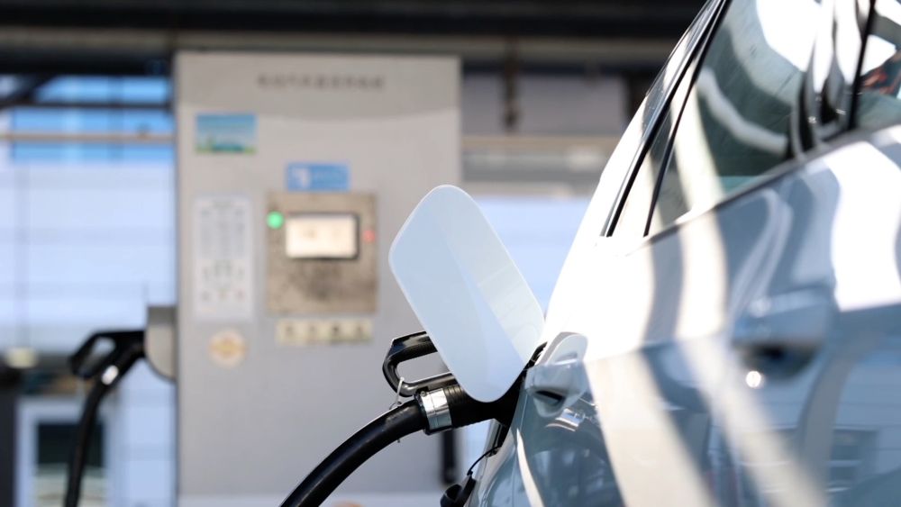 新华视点｜春潮涌动启新程 高质量发展提质提速