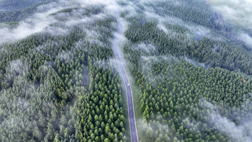 两会新华鲜报｜“典”亮人与自然和谐之路！中国第二部法典将诞生