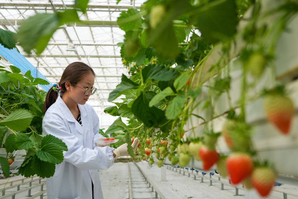 两会·影像链接|展望“十五五”:汇聚青春力量 两会·影像链接|展望“十五五”:汇聚青春力量