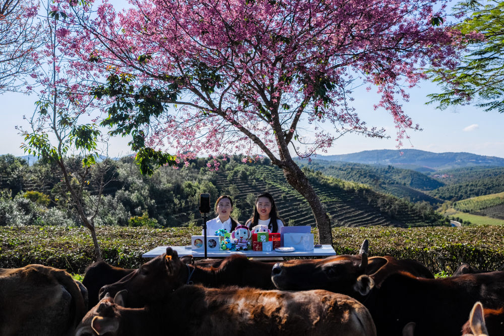 两会·影像链接|展望“十五五”:汇聚青春力量 两会·影像链接|展望“十五五”:汇聚青春力量