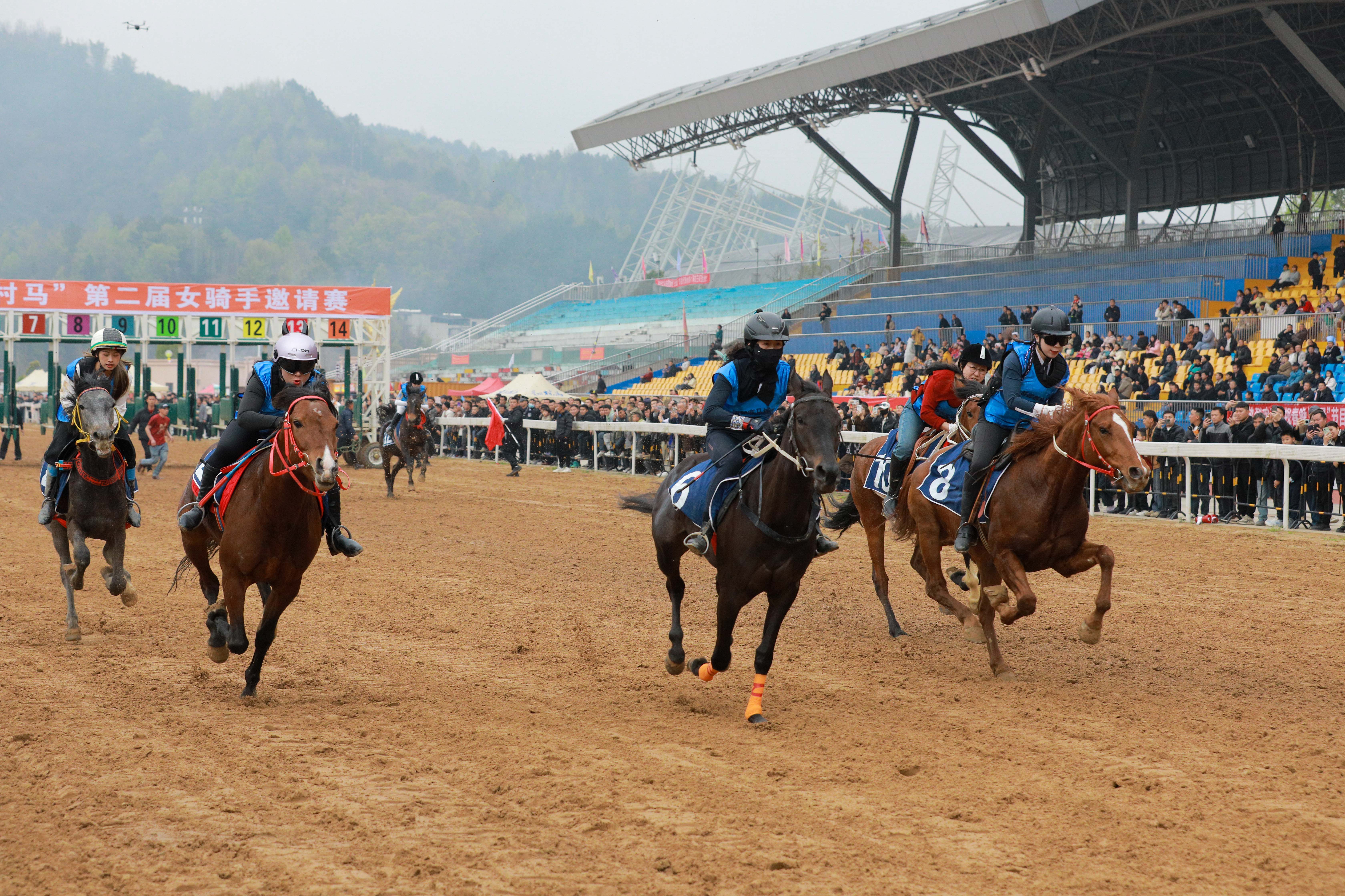 县县有特色,小城经济各亮绝招