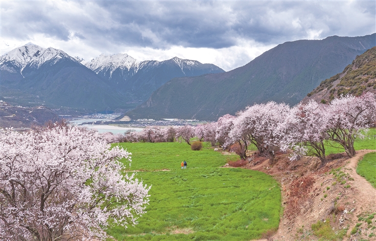 “十五五”,我们这样干——代表委员畅谈以实干铸就新辉煌 “十五五”,我们这样干——代表委员畅谈以实干铸就新辉煌