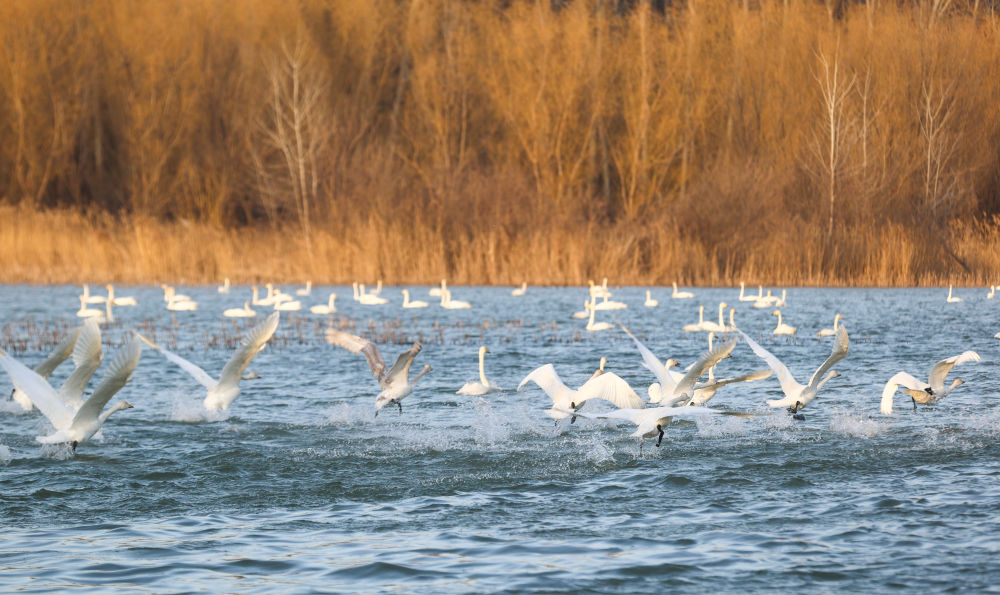 会外看会|这些提法,“点”绿美丽中国新图景 会外看会|这些提法,“点”绿美丽中国新图景