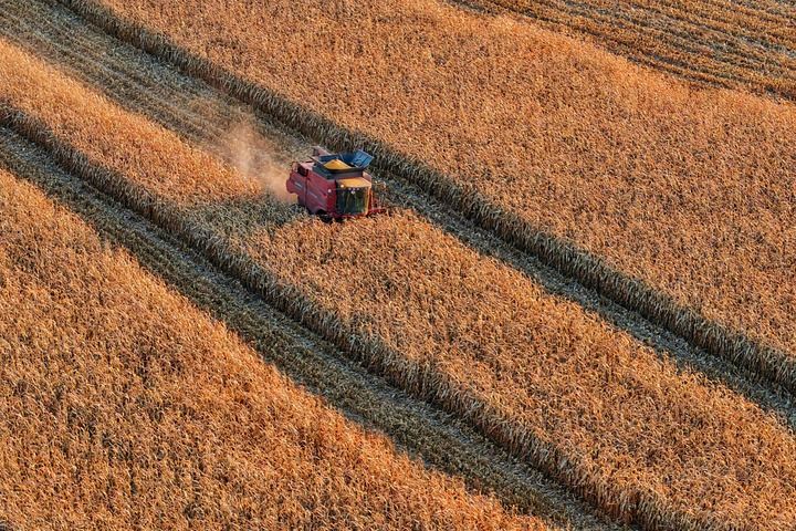 2026年全国两会巡礼 2026年全国两会巡礼