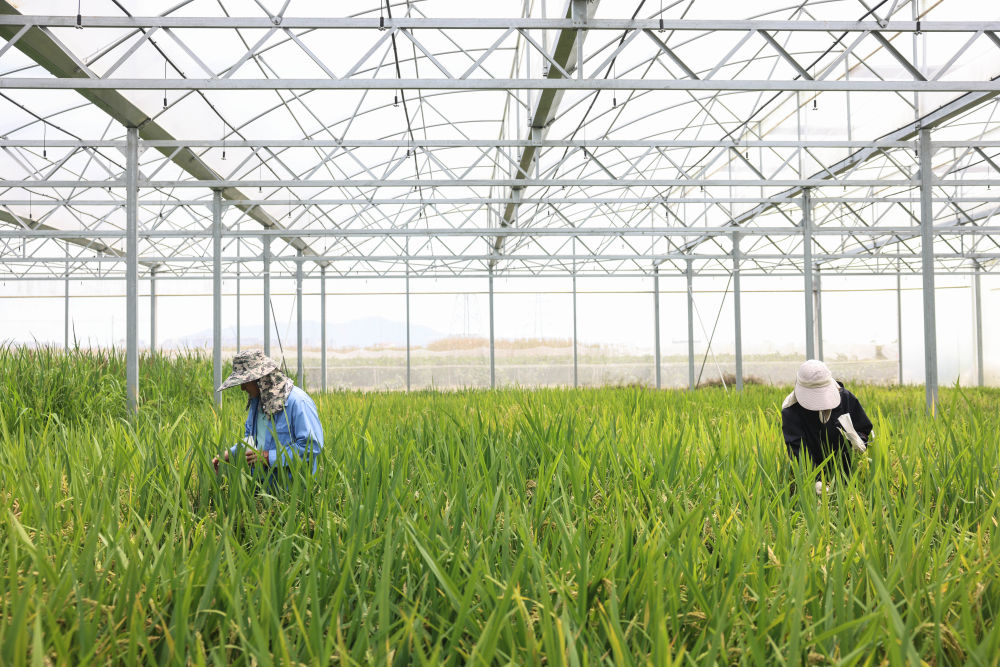 习近平总书记同人大代表、政协委员共商国是纪实