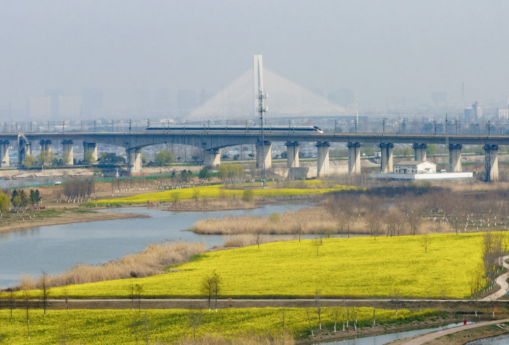 习近平总书记同人大代表、政协委员共商国是纪实