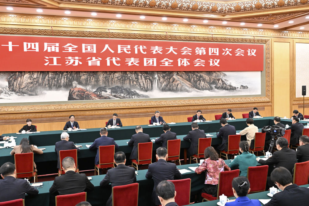 一见·代表委员通道，总书记为何持续关注