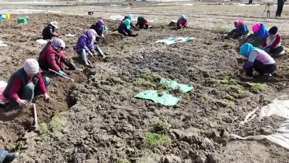 不负春光开好局 各地忙生产稳就业