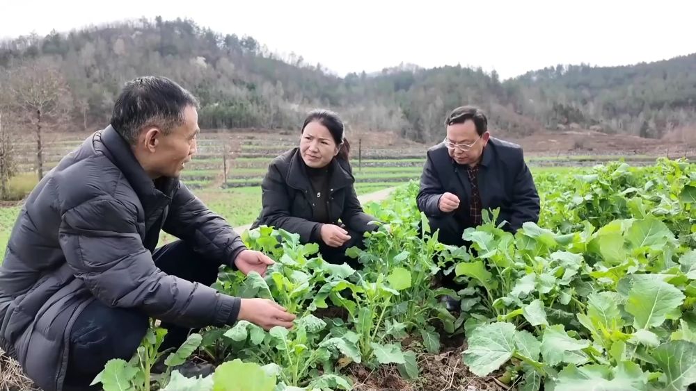不负春光开好局 各地忙生产稳就业