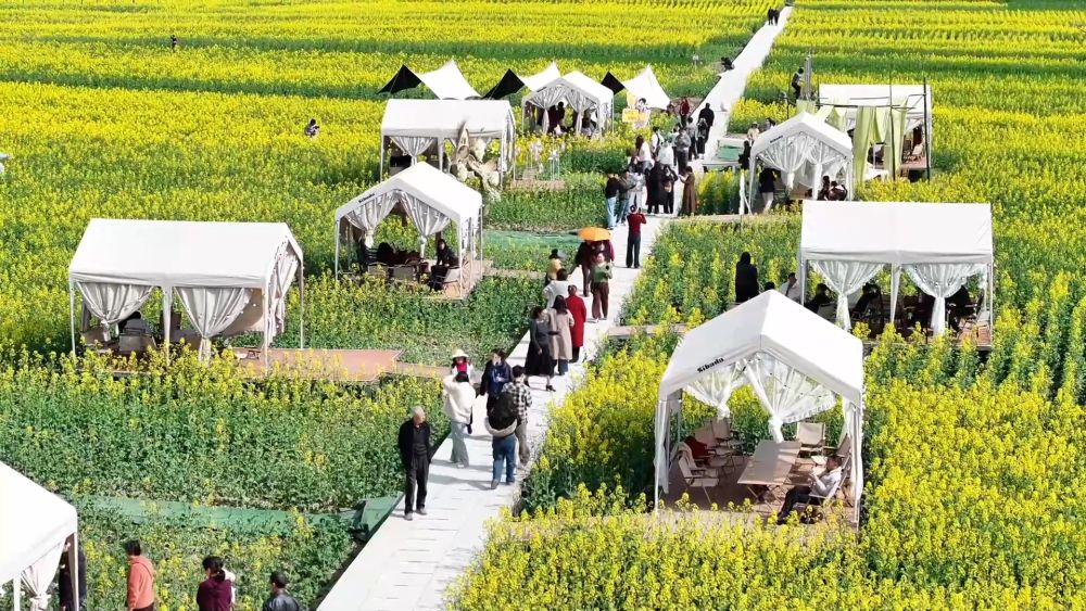 新华视点｜春日盛景赋能“花经济” 文旅融合焕发新活力