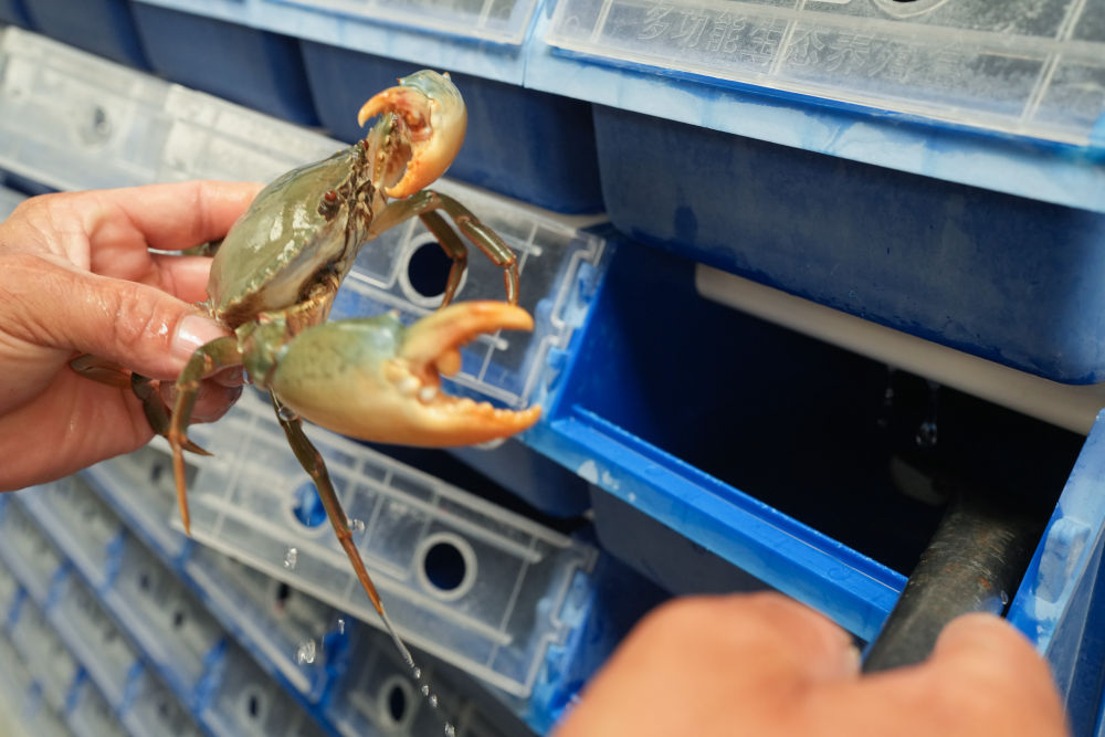 新华鲜报｜约占全球56%！中国渔业好“丰”景