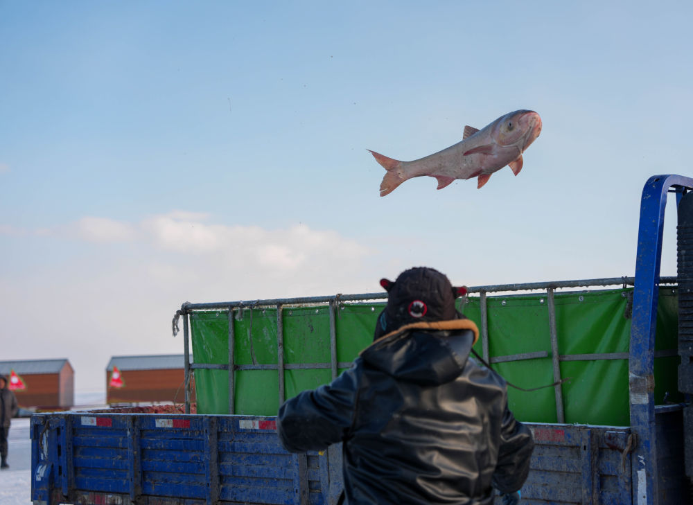 新华鲜报｜约占全球56%！中国渔业好“丰”景