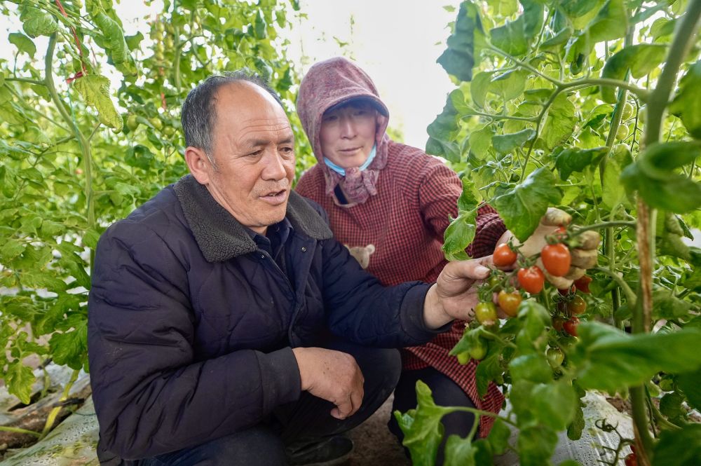 再越六盘山——“三本账”看西海固之变 再越六盘山——“三本账”看西海固之变