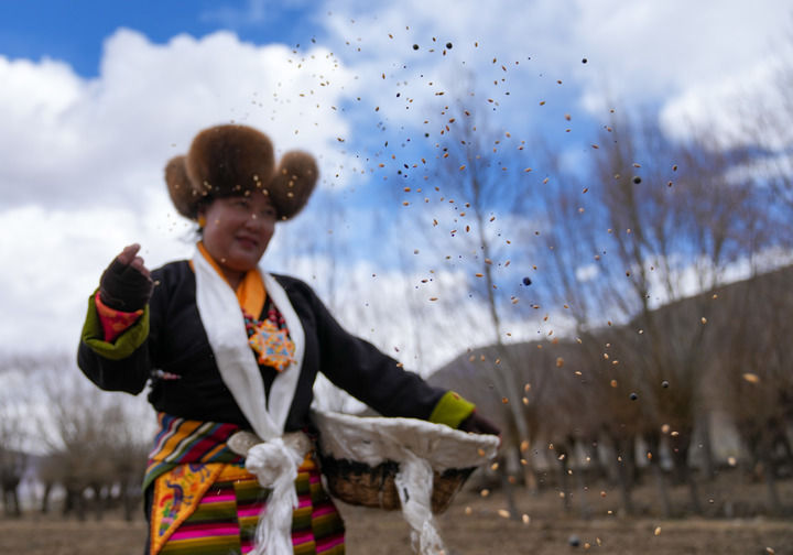 沃野染新绿 春耕绘丰景——从春耕一线看“十五五”开局农业生产新气象