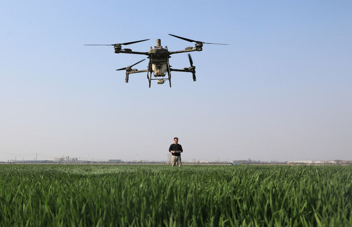 沃野染新绿 春耕绘丰景——从春耕一线看“十五五”开局农业生产新气象