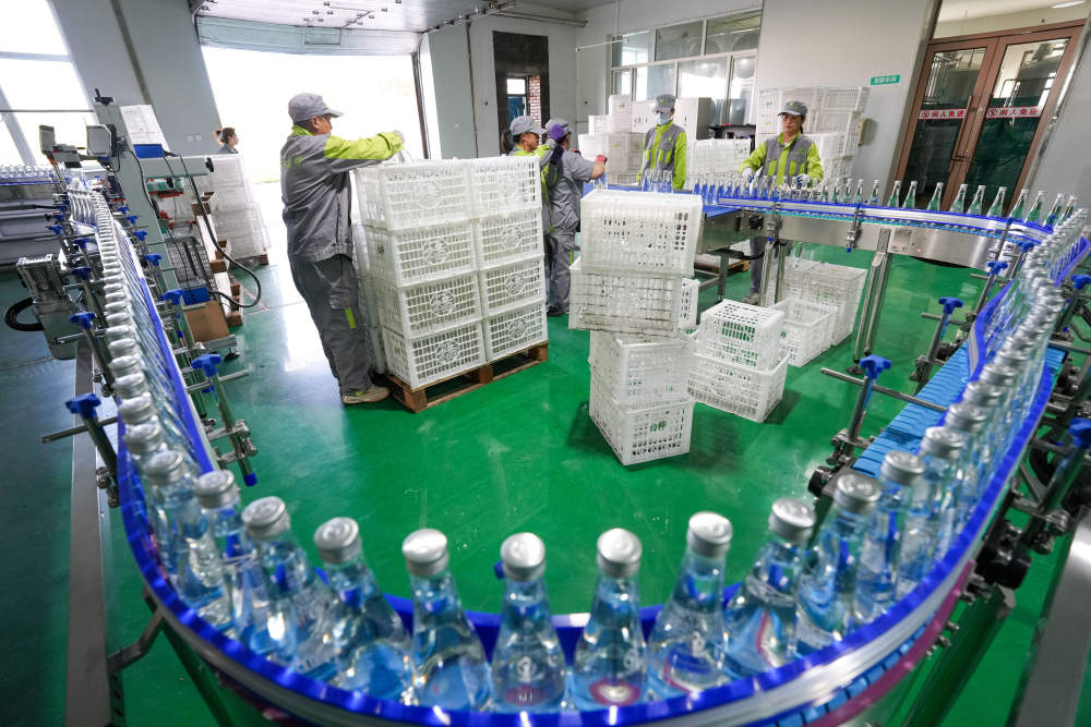 习近平总书记关切事｜以林为笔的生态答卷