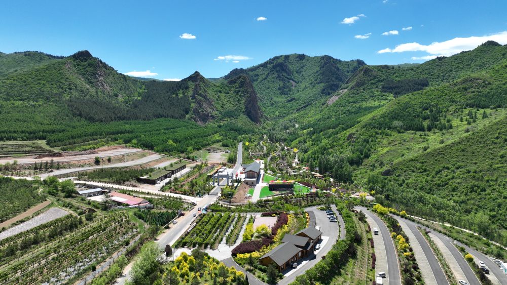 习近平总书记关切事|以林为笔的生态答卷 习近平总书记关切事|以林为笔的生态答卷