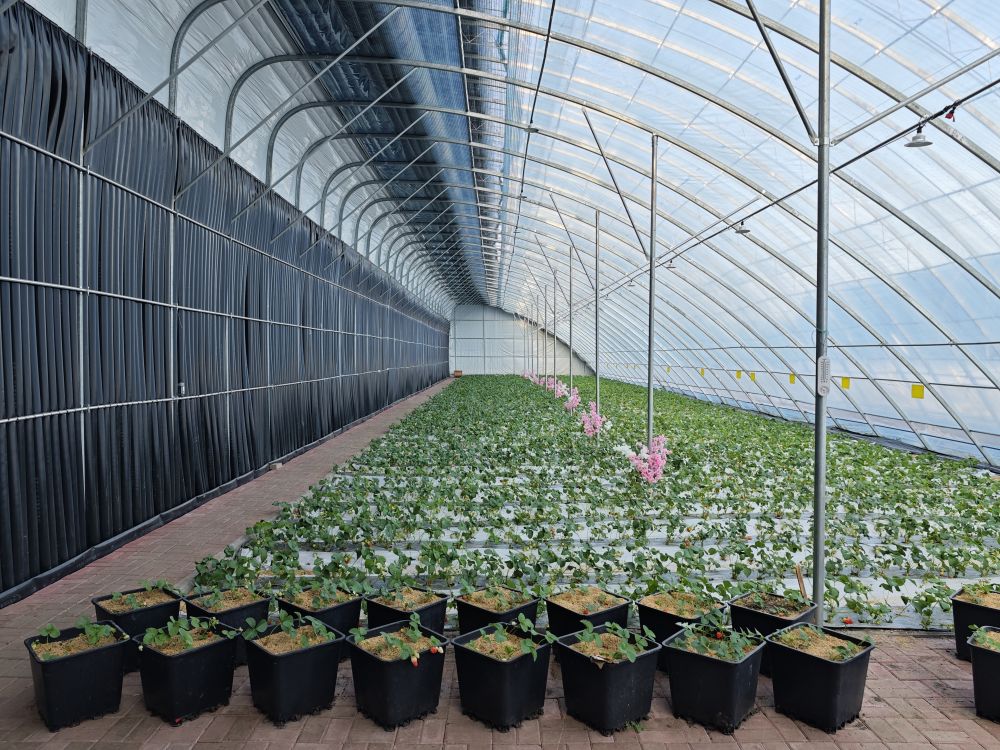 习近平总书记关切事|以林为笔的生态答卷 习近平总书记关切事|以林为笔的生态答卷