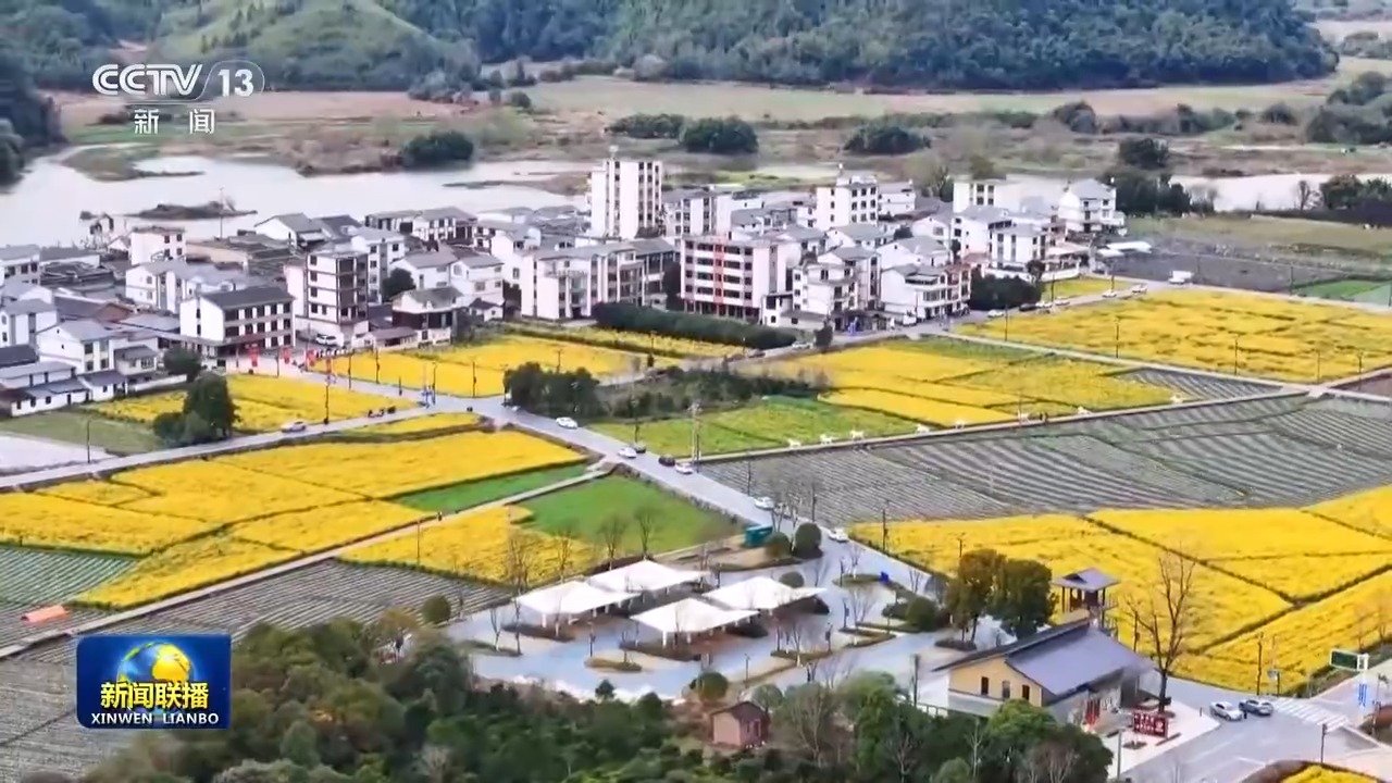 奋力实现“十五五”良好开局丨激发消费新动能 中国大市场活力加速释放