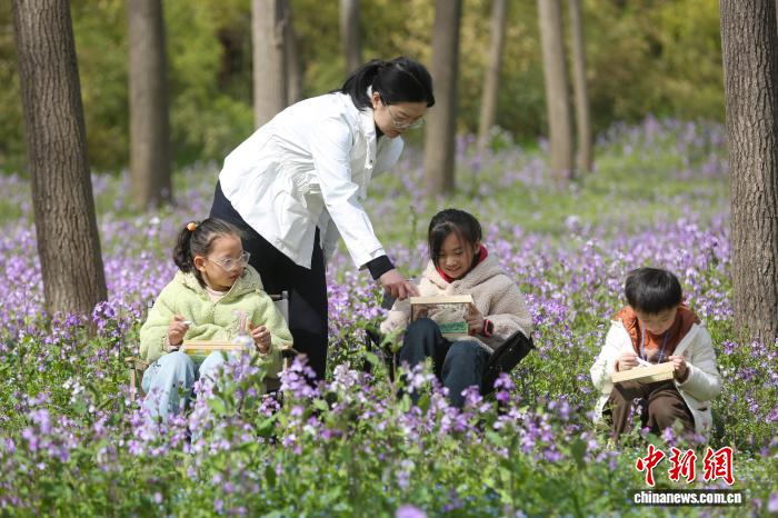 河南三门峡:师生户外写生绘春天 河南三门峡:师生户外写生绘春天