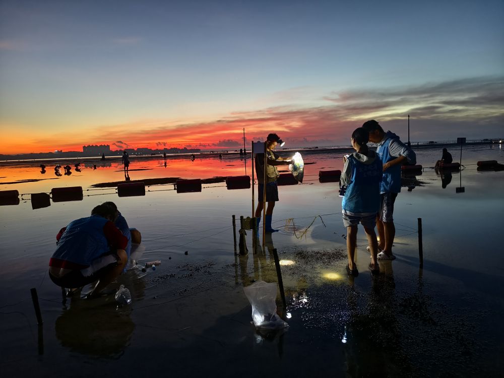 守护家门口的“金山银山”——海口北港村发展转型记