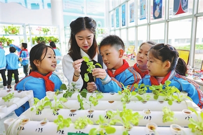 从“书包减重”到生态重塑