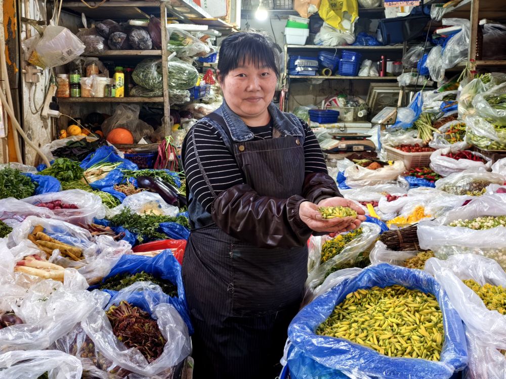 马力全开！春日消费“花开”多地