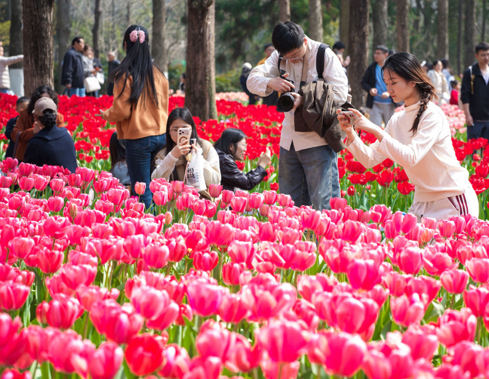 马力全开！春日消费“花开”多地