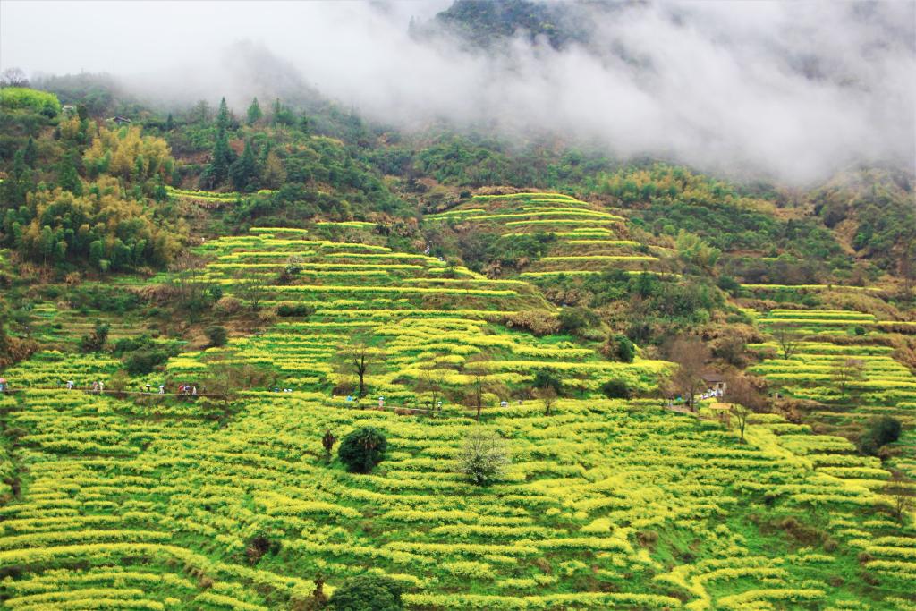 马力全开!春日消费“花开”多地