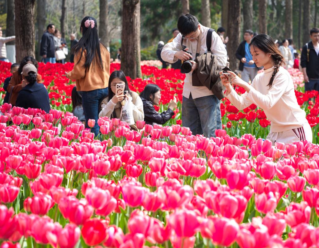 马力全开!春日消费“花开”多地