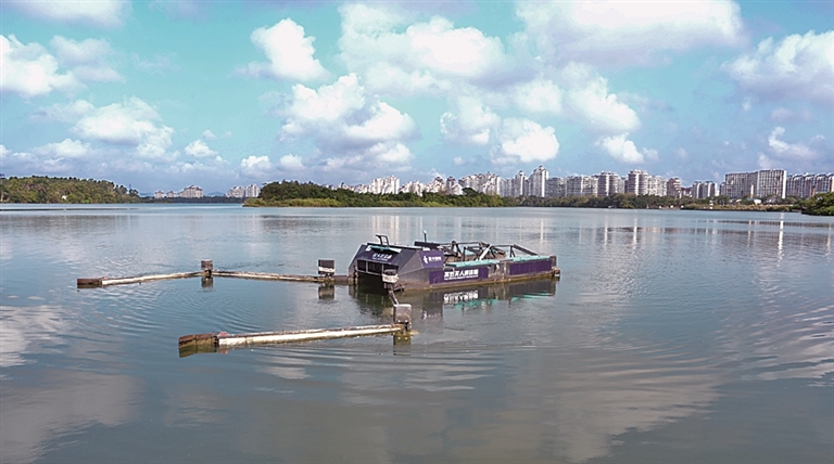 椰风海韵中,一场关于科技与未来的深度对话
