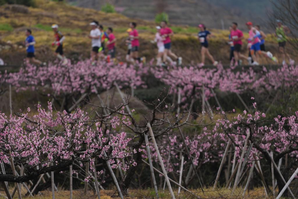 大看台丨“2.0时代”,马拉松是否依然“热辣滚烫”?