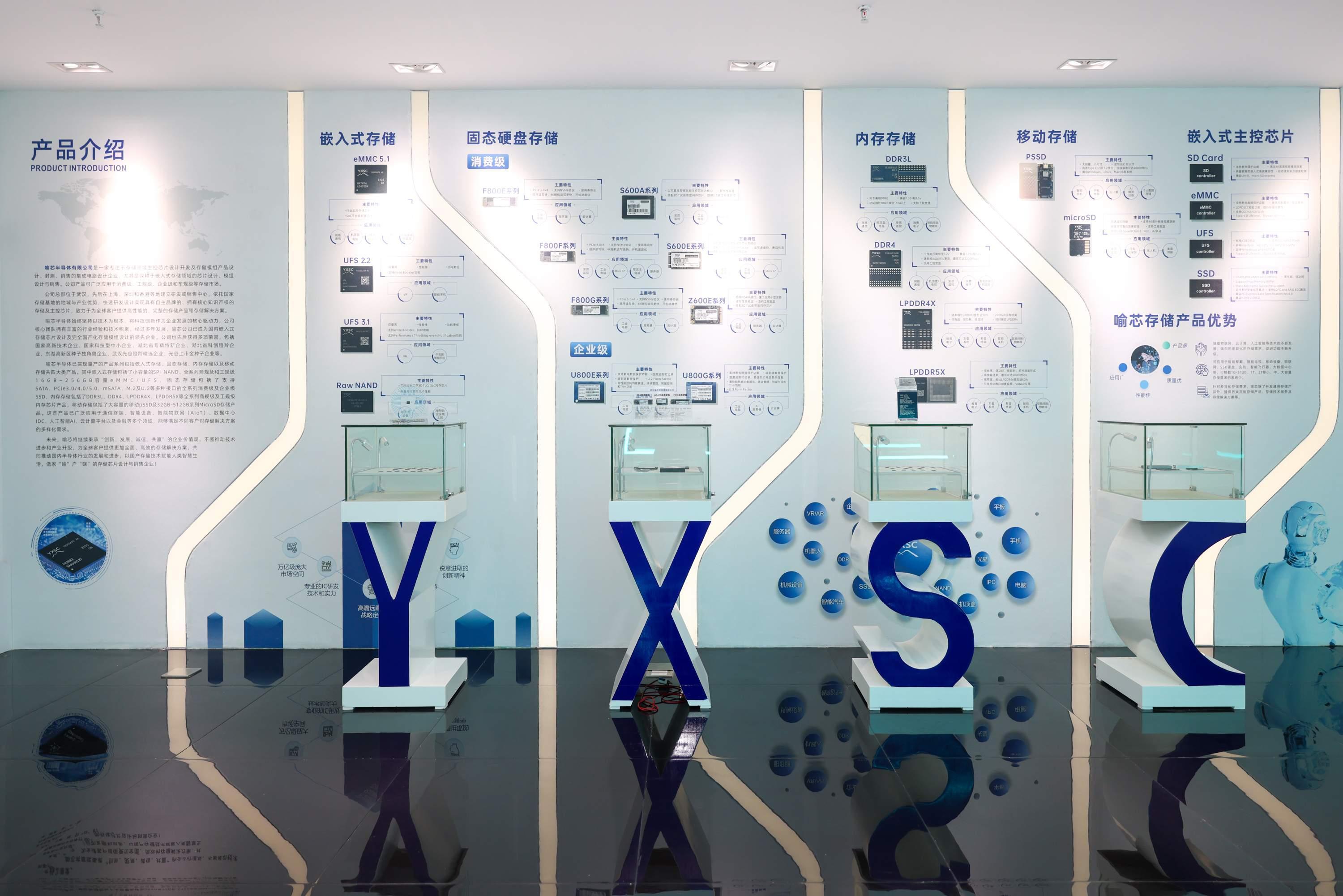 从一棵树到一片林——国家存储产业十年成长记