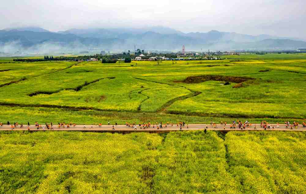 一朵花的N种“打开方式”：多地“赏花+”翻出新花样