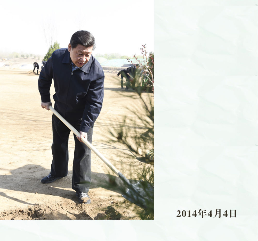 镜观·领航｜从植绿护绿，领悟总书记的政绩观