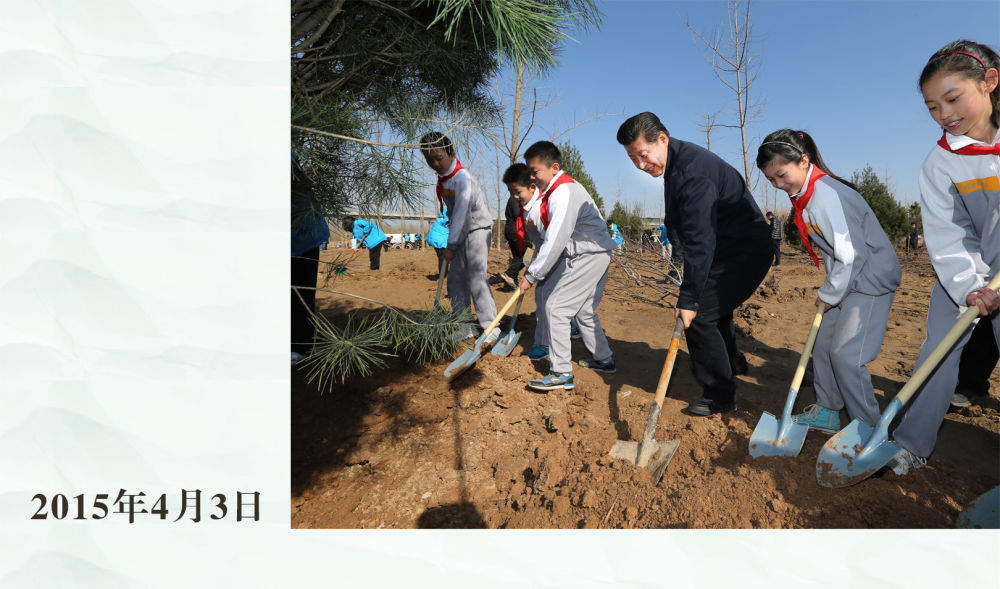 镜观·领航｜从植绿护绿，领悟总书记的政绩观