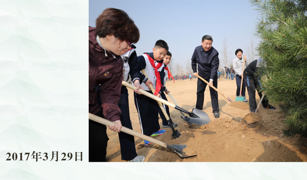 镜观·领航｜从植绿护绿，领悟总书记的政绩观