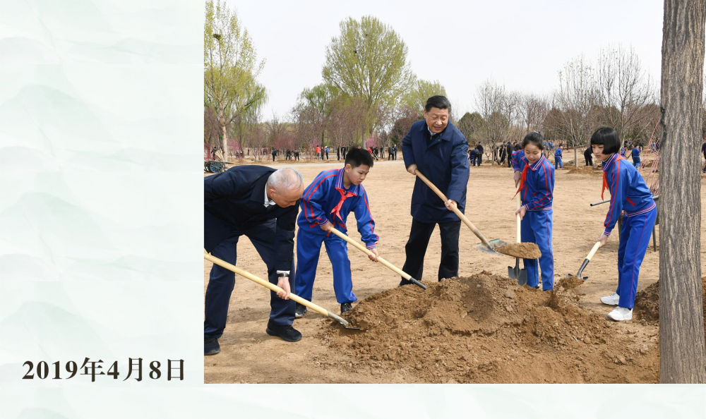 镜观·领航｜从植绿护绿，领悟总书记的政绩观