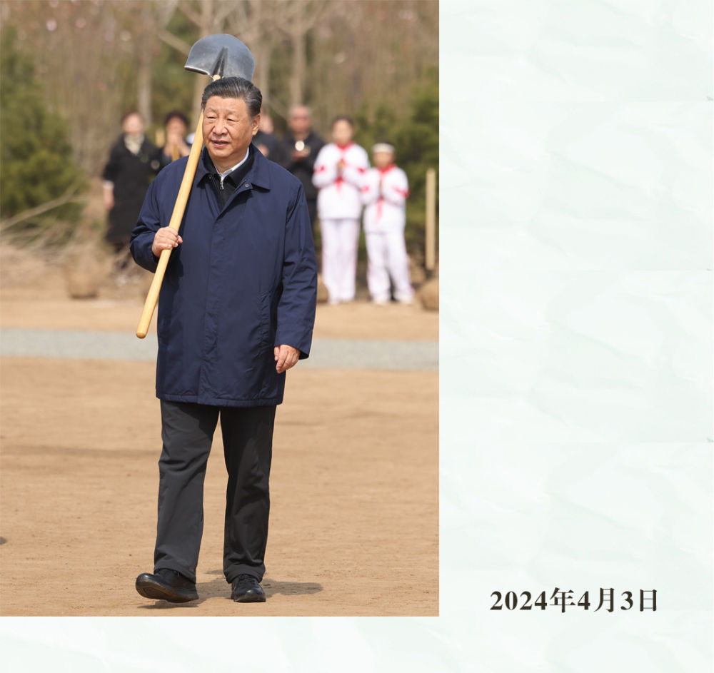 镜观·领航｜从植绿护绿，领悟总书记的政绩观