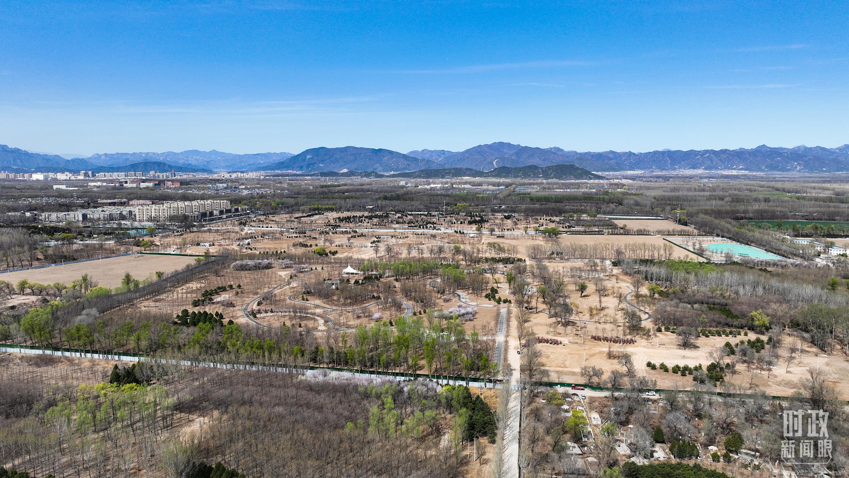 时政新闻眼丨在首都义务植树活动现场,习近平强调这件利国利民的大事
