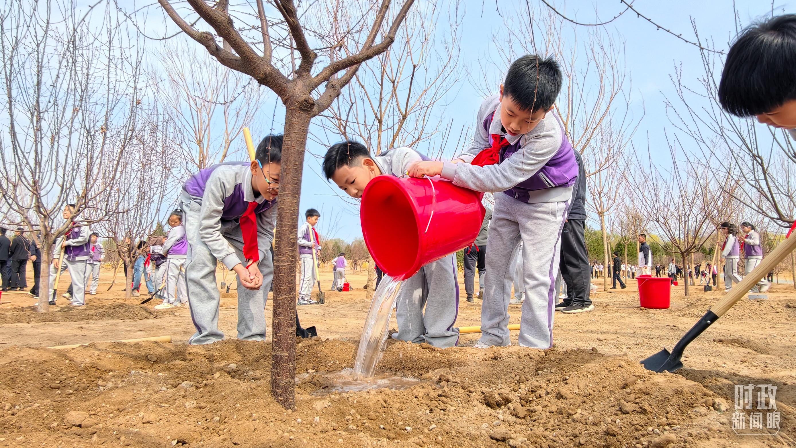 时政新闻眼丨在首都义务植树活动现场,习近平强调这件利国利民的大事