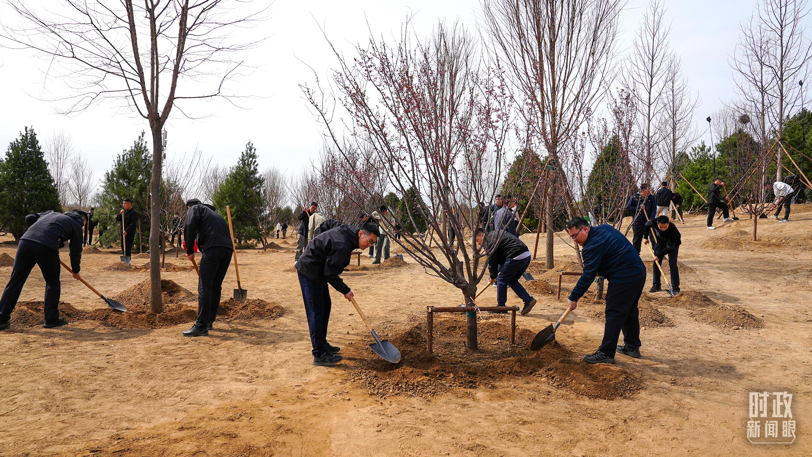 时政新闻眼丨在首都义务植树活动现场,习近平强调这件利国利民的大事