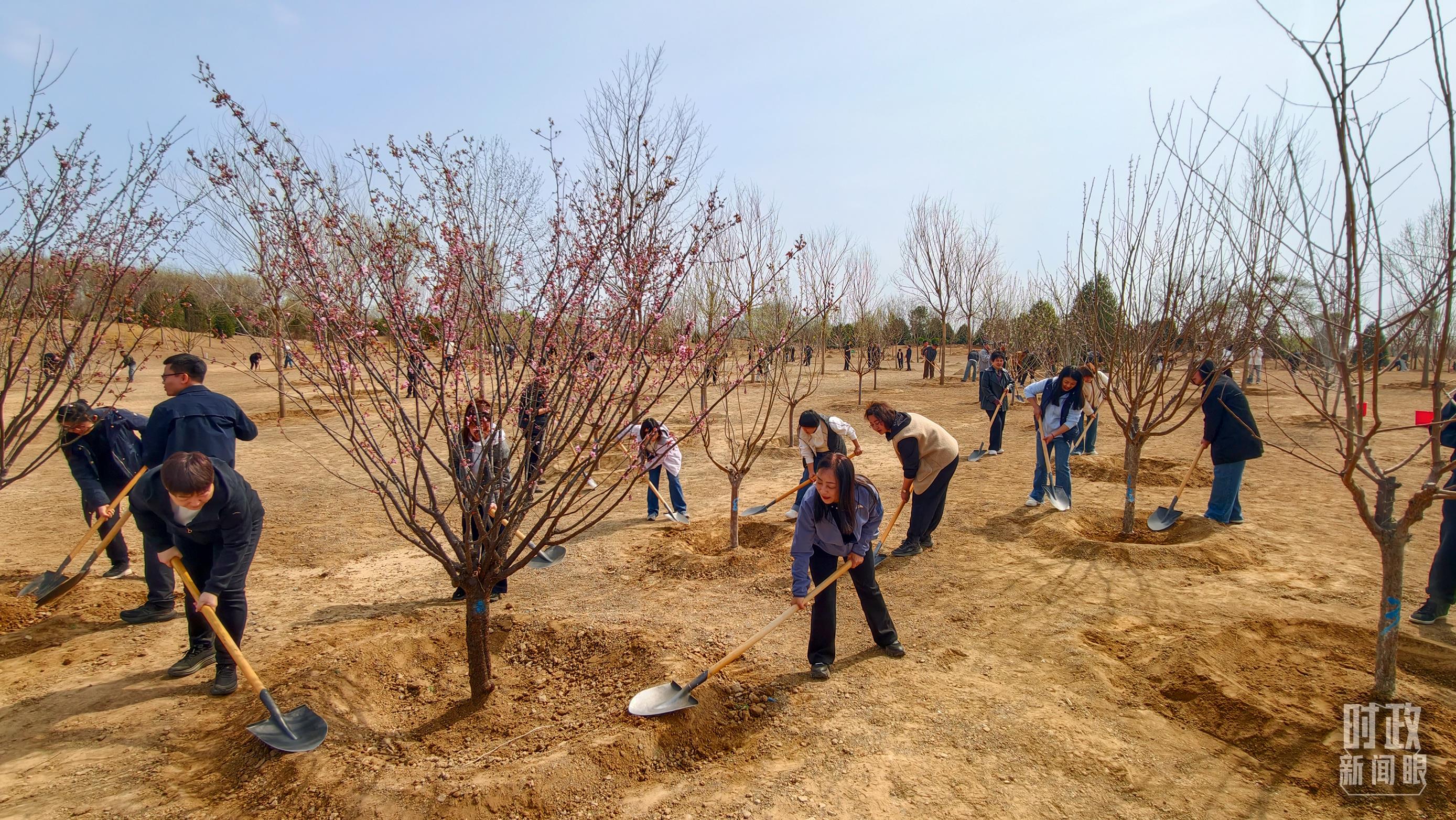 时政新闻眼丨在首都义务植树活动现场,习近平强调这件利国利民的大事