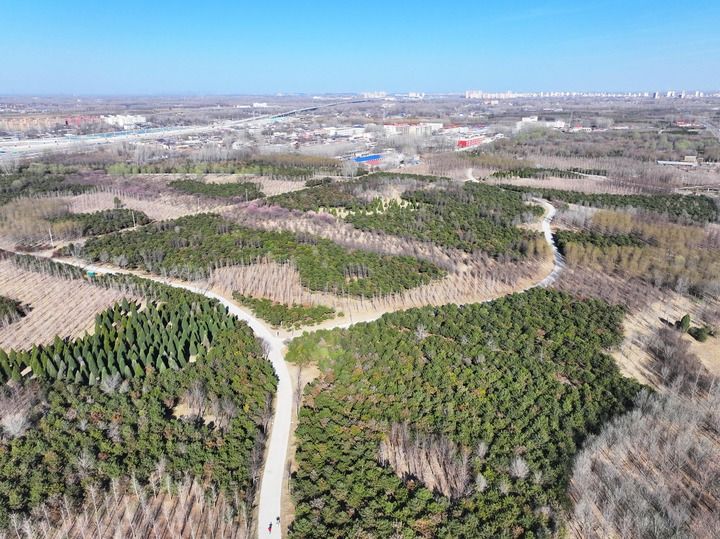 高标准高质量推进雄安新区建设观察