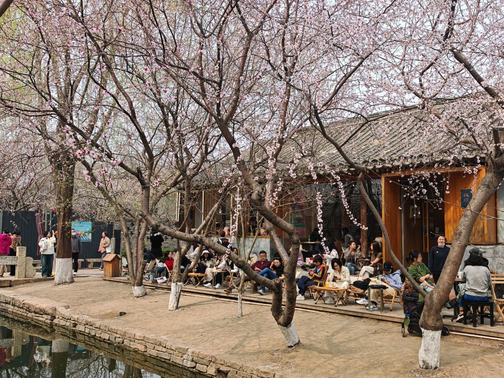 习近平总书记关切事｜让人民宜居安居