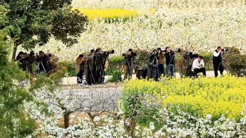 新华视点｜繁花绘春景 多元促消费——解码春日经济新图景
