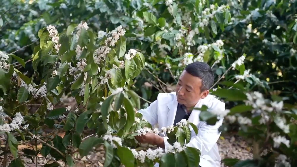 新华视点｜繁花绘春景 多元促消费——解码春日经济新图景